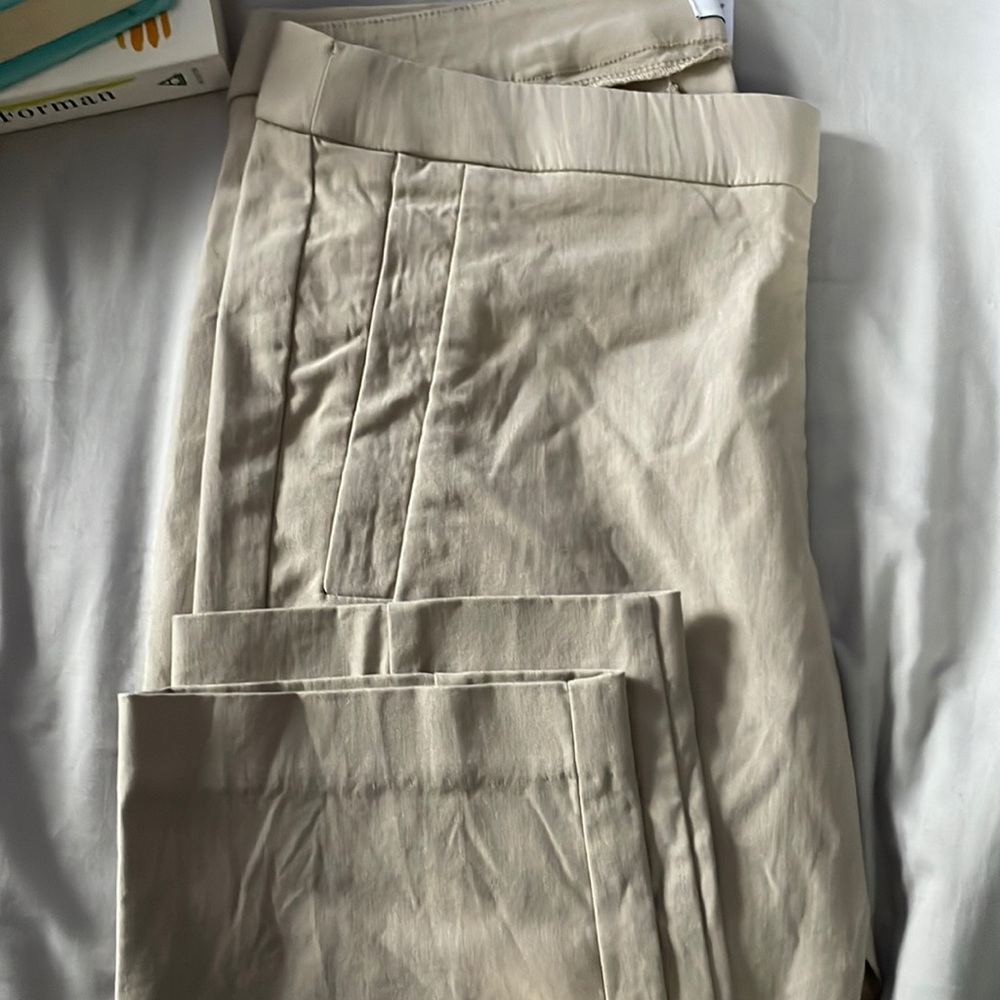 Dress pants